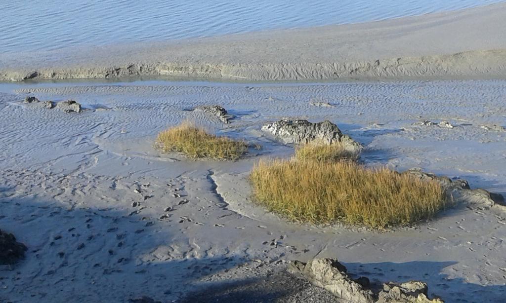 Les Hirondelles De La Baie Vila Vains Exterior foto